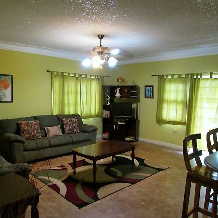 Centrally Located Guest Apartments كينغستون المظهر الخارجي الصورة
