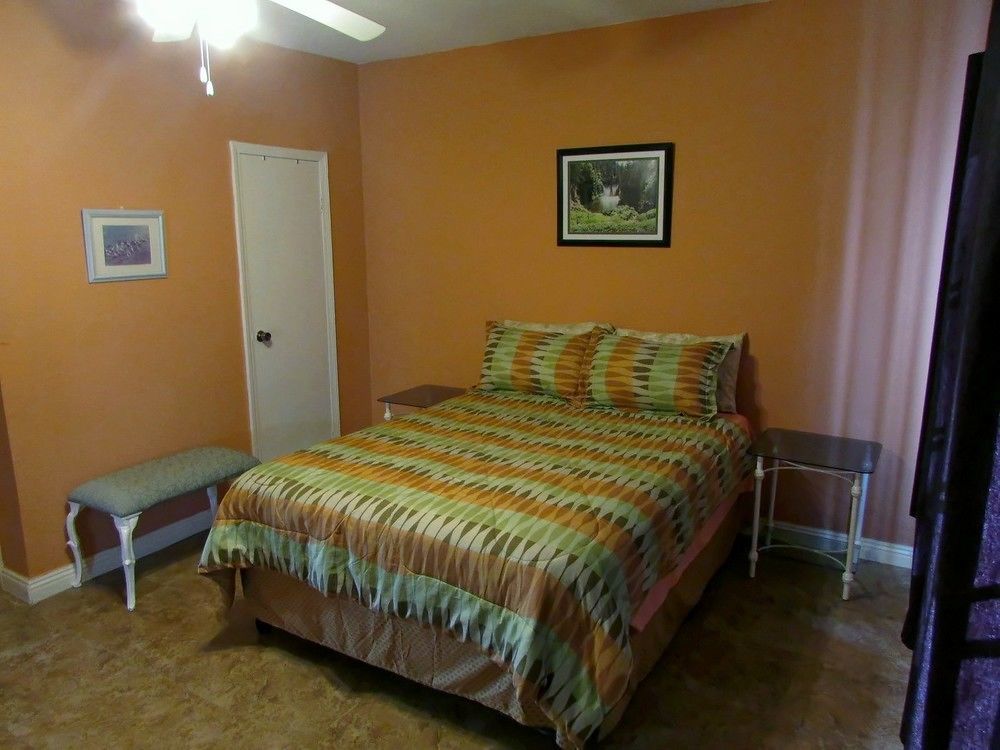 Centrally Located Guest Apartments كينغستون المظهر الخارجي الصورة