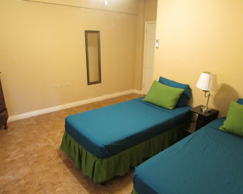 Centrally Located Guest Apartments كينغستون المظهر الخارجي الصورة