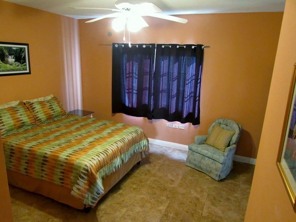Centrally Located Guest Apartments كينغستون المظهر الخارجي الصورة