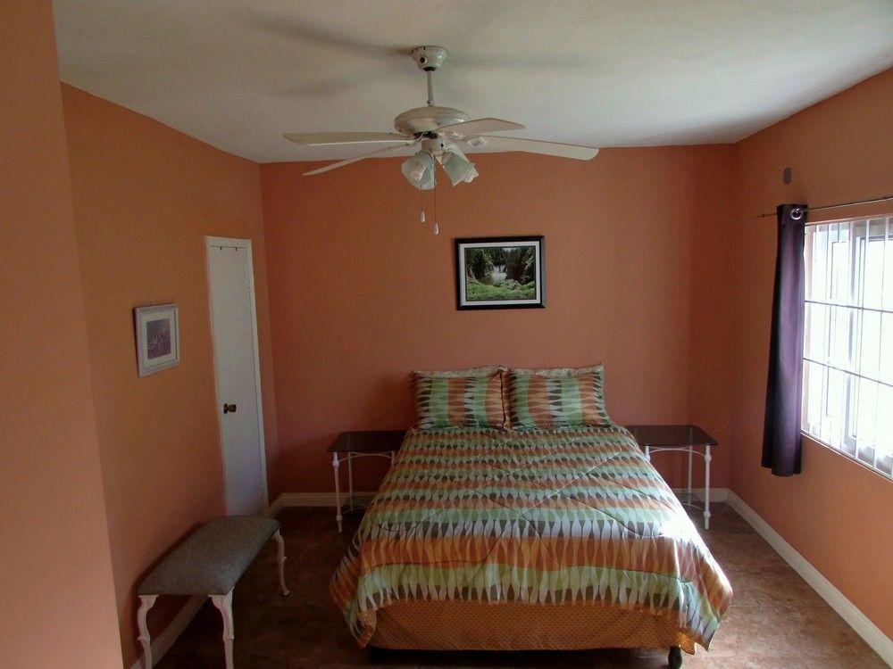 Centrally Located Guest Apartments كينغستون المظهر الخارجي الصورة