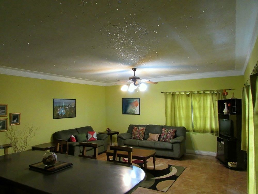 Centrally Located Guest Apartments كينغستون المظهر الخارجي الصورة