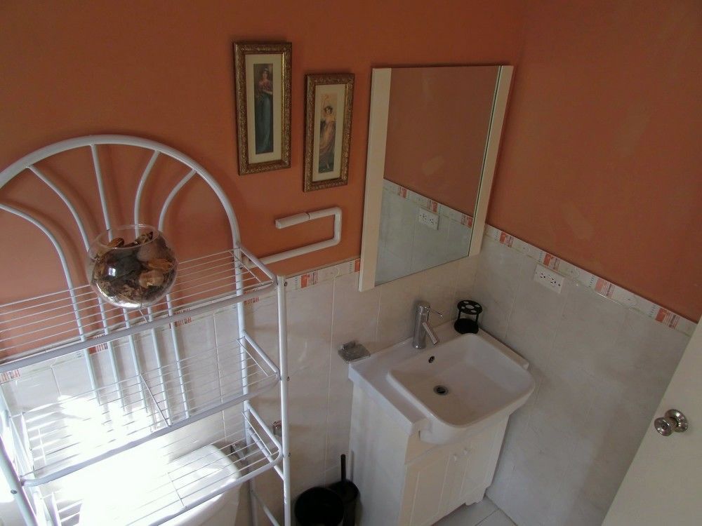Centrally Located Guest Apartments كينغستون المظهر الخارجي الصورة