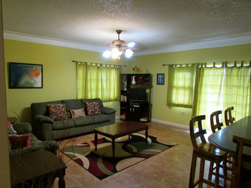 Centrally Located Guest Apartments كينغستون المظهر الخارجي الصورة