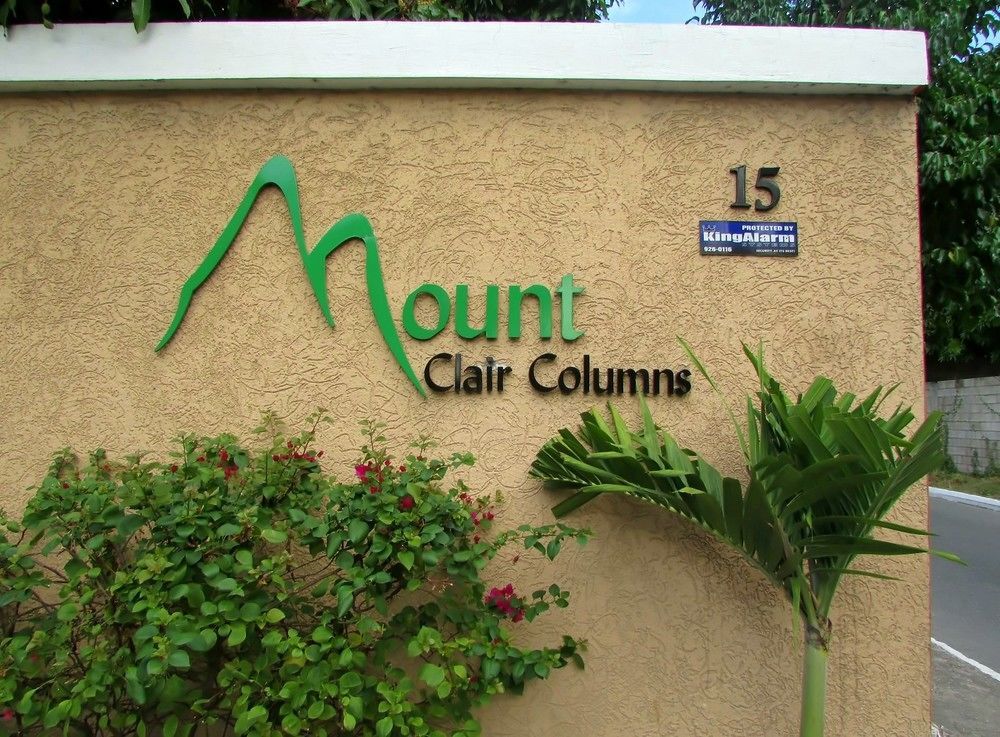 Centrally Located Guest Apartments كينغستون المظهر الخارجي الصورة