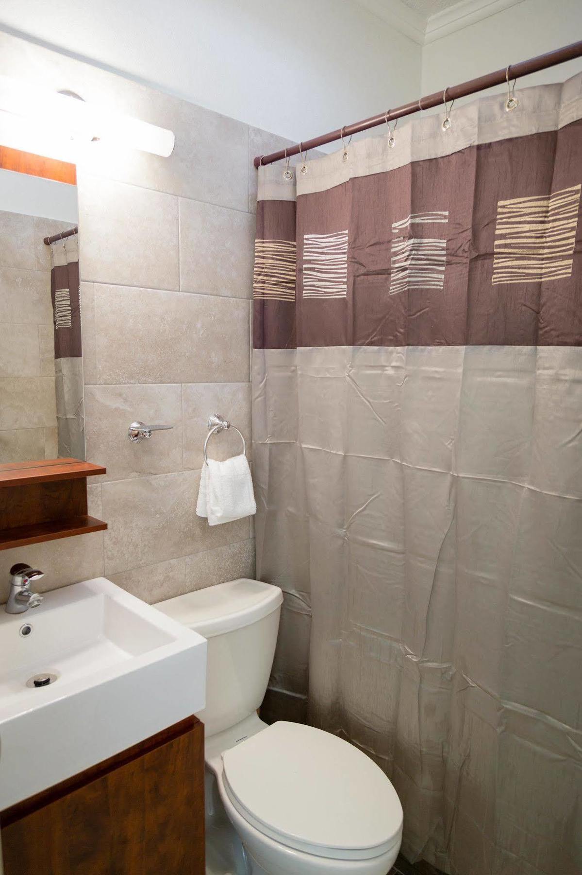 Centrally Located Guest Apartments كينغستون المظهر الخارجي الصورة