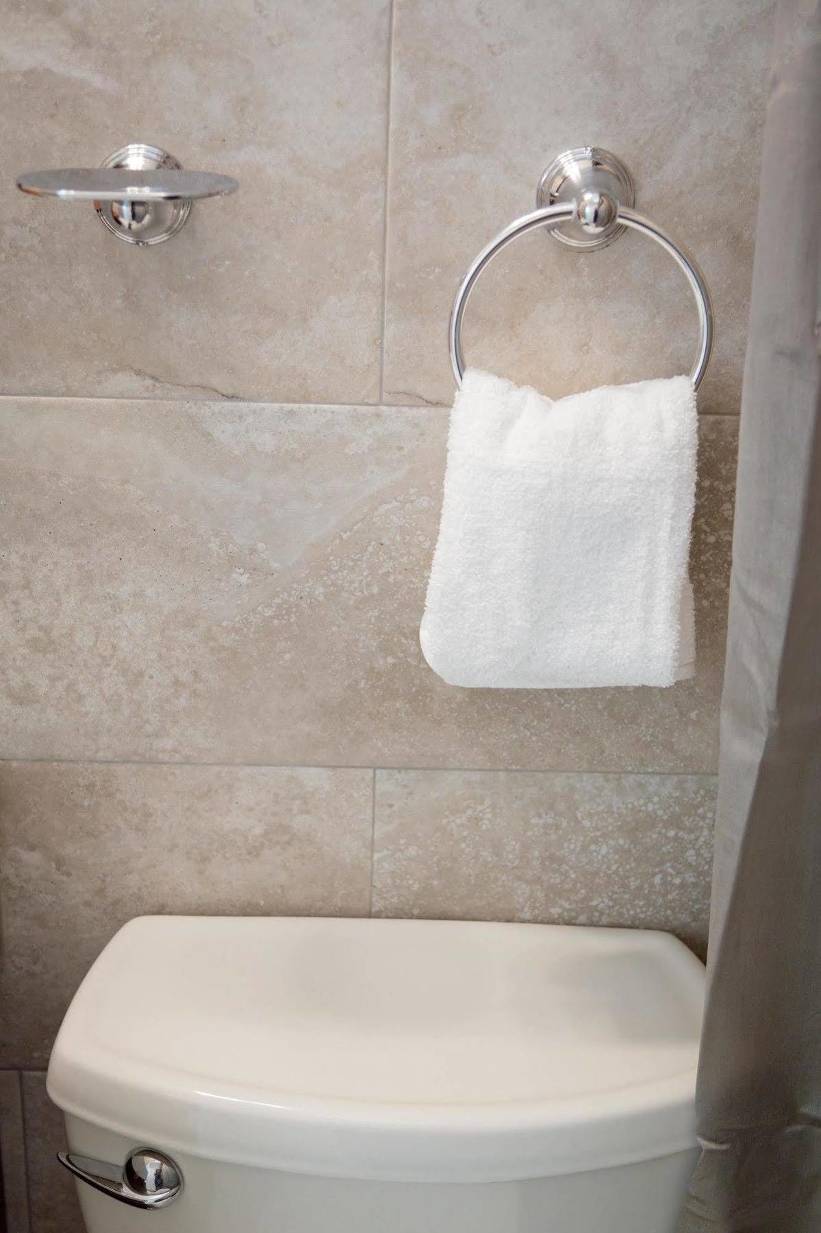 Centrally Located Guest Apartments كينغستون المظهر الخارجي الصورة