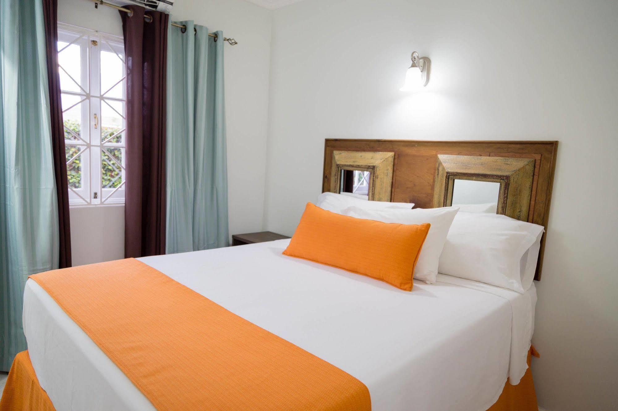 Centrally Located Guest Apartments كينغستون المظهر الخارجي الصورة