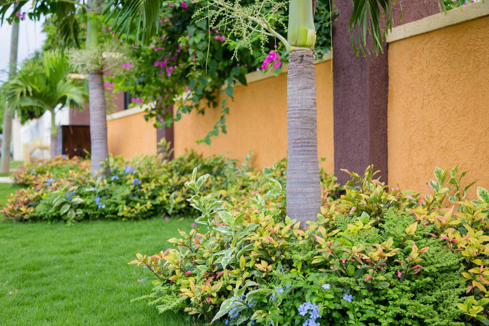 Centrally Located Guest Apartments كينغستون المظهر الخارجي الصورة